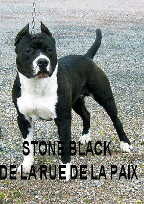 Stone black De la rue de la paix